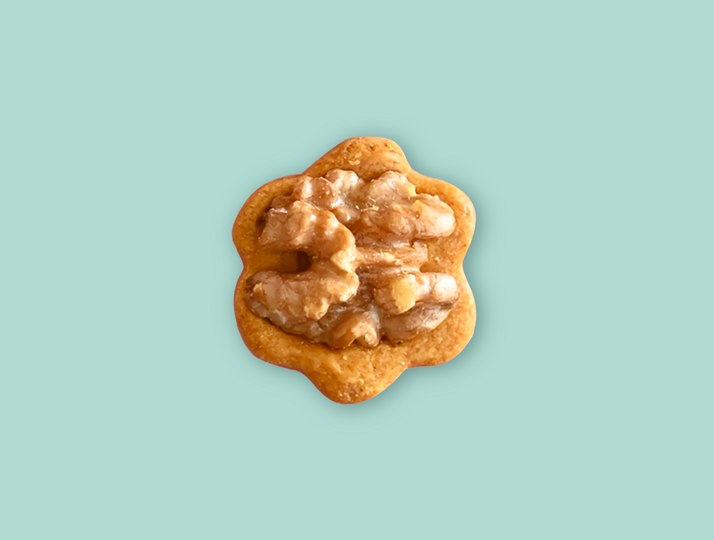 Walnut Biscuit