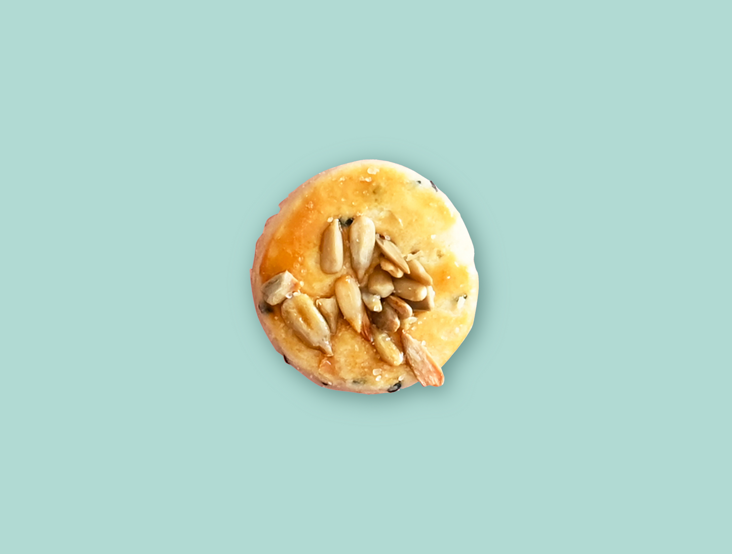 Sunflower Seed Salty Biscuit